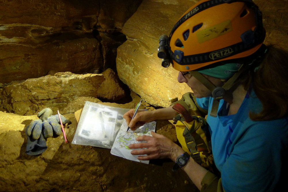 Cheryl updating the bat count in Hamilton Cave